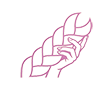Imagen del icono braid rosa